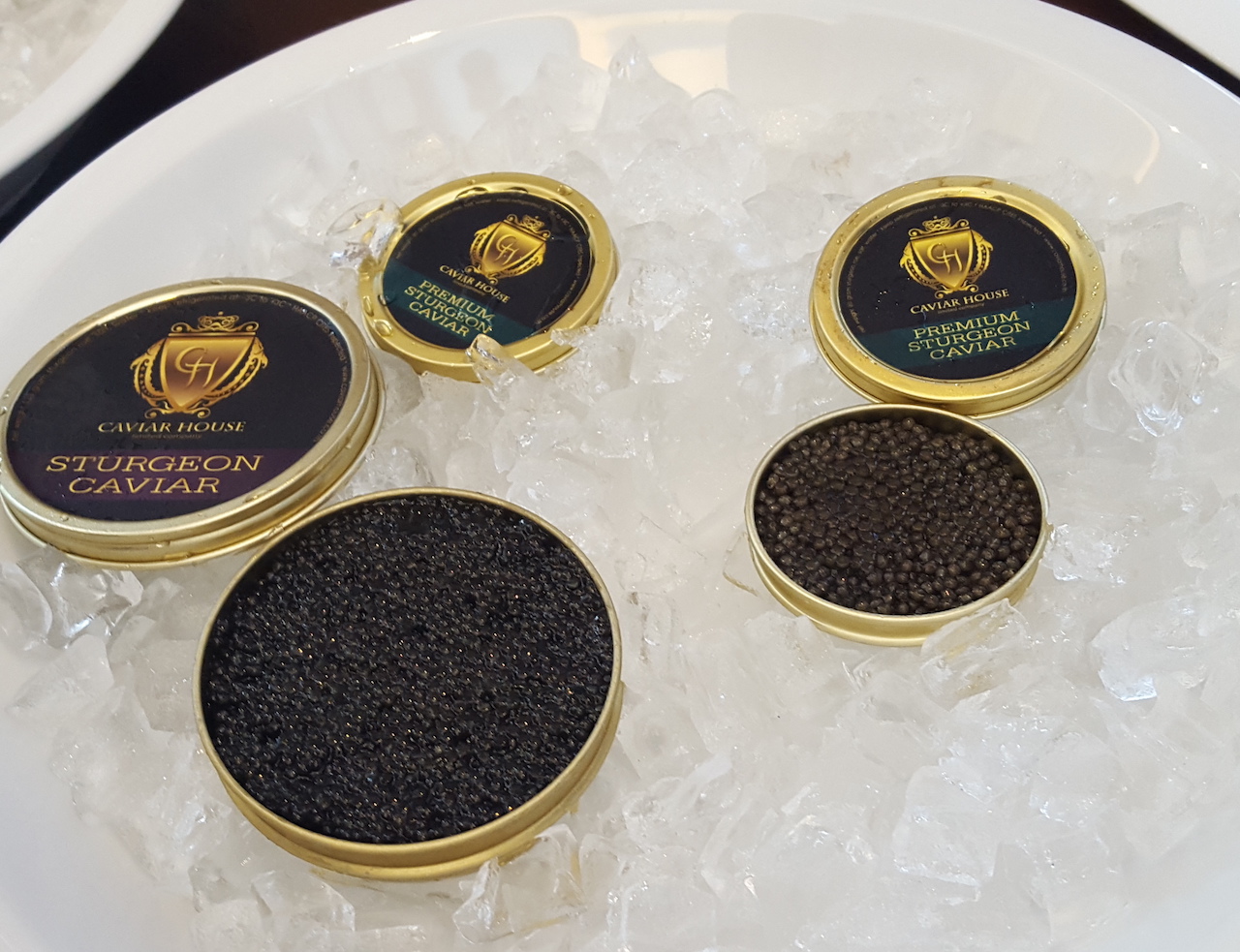 Black Caviar 
