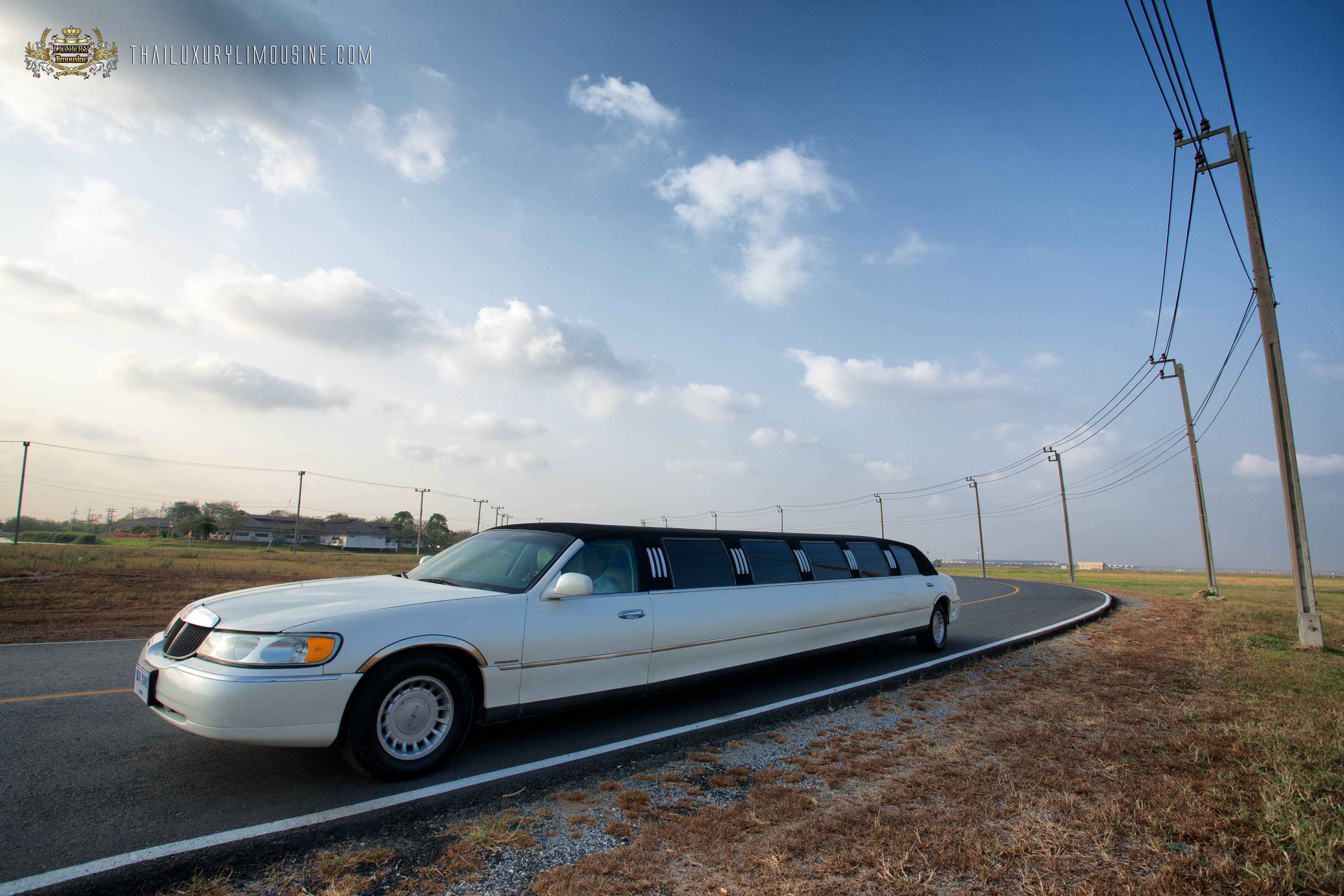 Luxury Limousine Service